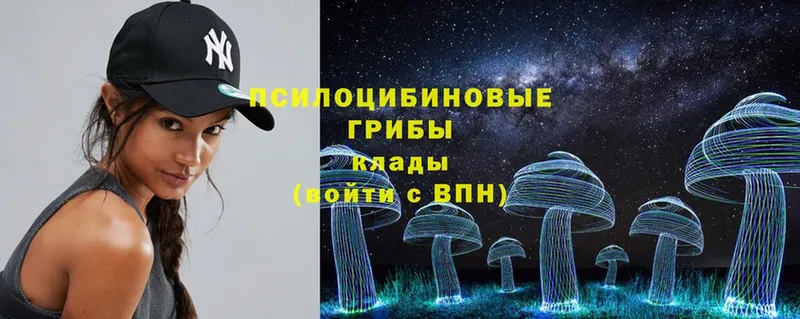 blacksprut ссылка  продажа наркотиков  Барабинск  Псилоцибиновые грибы Psilocybine cubensis 